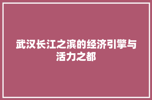 武汉长江之滨的经济引擎与活力之都 武汉长江之滨的经济引擎与活力之都