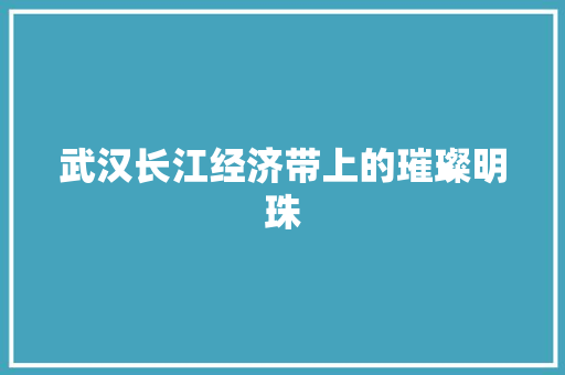 武汉长江经济带上的璀璨明珠 武汉长江经济带上的璀璨明珠
