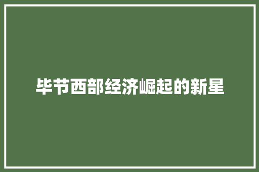毕节西部经济崛起的新星 毕节西部经济崛起的新星