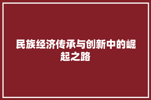 民族经济传承与创新中的崛起之路 民族经济传承与创新中的崛起之路