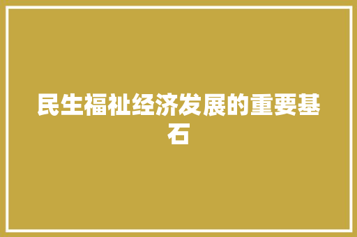 民生福祉经济发展的重要基石 民生福祉经济发展的重要基石
