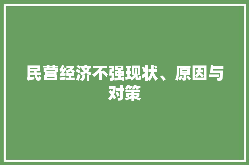 民营经济不强现状、原因与对策 民营经济不强现状、原因与对策