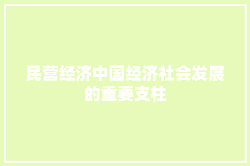 民营经济中国经济社会发展的重要支柱 民营经济中国经济社会发展的重要支柱