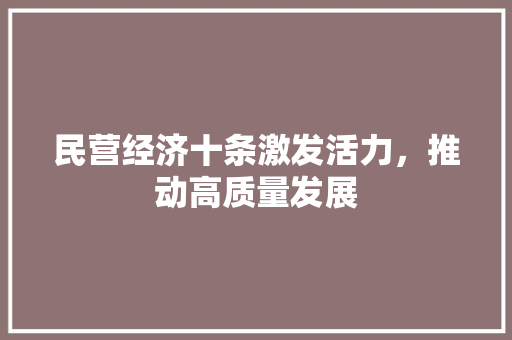 民营经济十条激发活力,推动高质量发展 民营经济十条激发活力,推动高质量发展