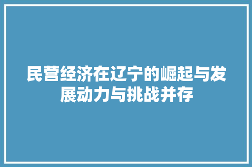民营经济在辽宁的崛起与发展动力与挑战并存