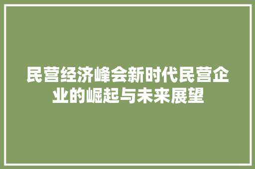 民营经济峰会新时代民营企业的崛起与未来展望 民营经济峰会新时代民营企业的崛起与未来展望