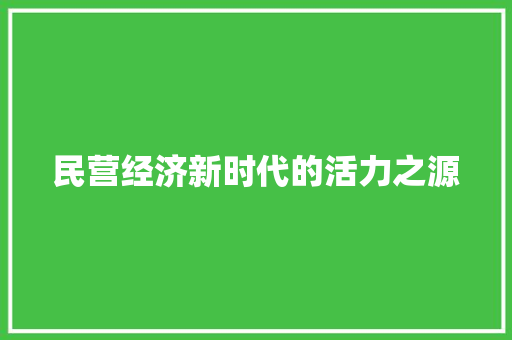 民营经济新时代的活力之源 民营经济新时代的活力之源