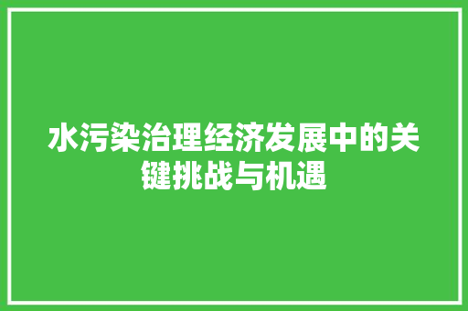水污染治理经济发展中的关键挑战与机遇 水污染治理经济发展中的关键挑战与机遇