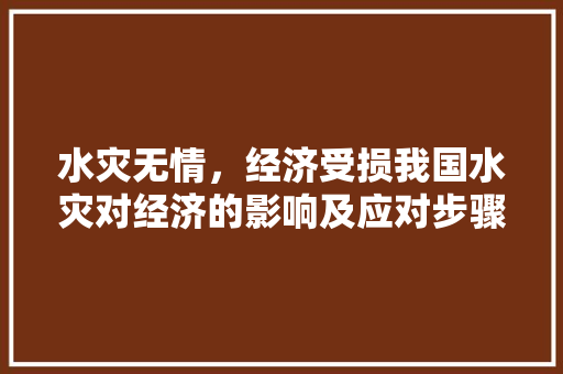 水灾无情,经济受损我国水灾对经济的影响及应对步骤 水灾无情,经济受损我国水灾对经济的影响及应对步骤