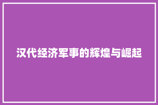 汉代经济军事的辉煌与崛起 汉代经济军事的辉煌与崛起