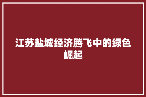 江苏盐城经济腾飞中的绿色崛起 江苏盐城经济腾飞中的绿色崛起