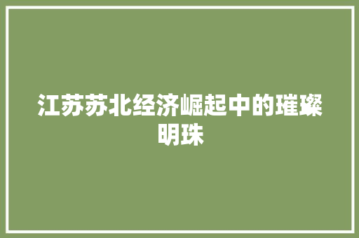 江苏苏北经济崛起中的璀璨明珠 江苏苏北经济崛起中的璀璨明珠