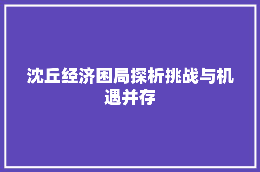 沈丘经济困局探析挑战与机遇并存 沈丘经济困局探析挑战与机遇并存