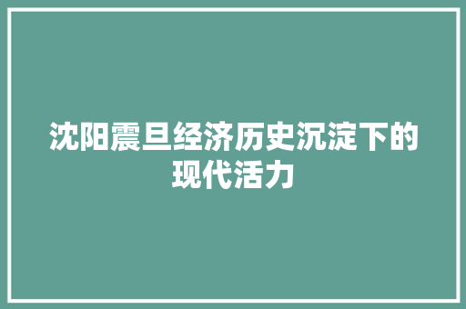 沈阳震旦经济历史沉淀下的现代活力