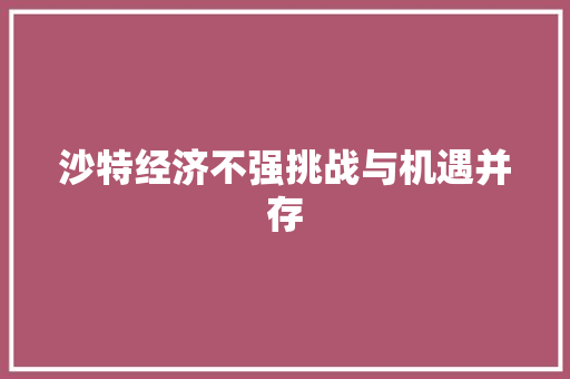 沙特经济不强挑战与机遇并存 沙特经济不强挑战与机遇并存