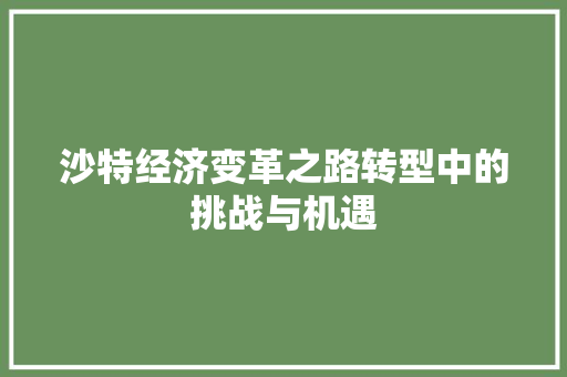沙特经济变革之路转型中的挑战与机遇 沙特经济变革之路转型中的挑战与机遇