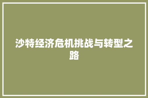 沙特经济危机挑战与转型之路 沙特经济危机挑战与转型之路