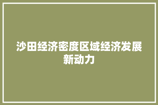 沙田经济密度区域经济发展新动力