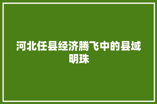 河北任县经济腾飞中的县域明珠 河北任县经济腾飞中的县域明珠