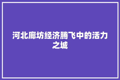 河北廊坊经济腾飞中的活力之城 河北廊坊经济腾飞中的活力之城