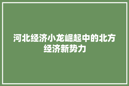 河北经济小龙崛起中的北方经济新势力 河北经济小龙崛起中的北方经济新势力