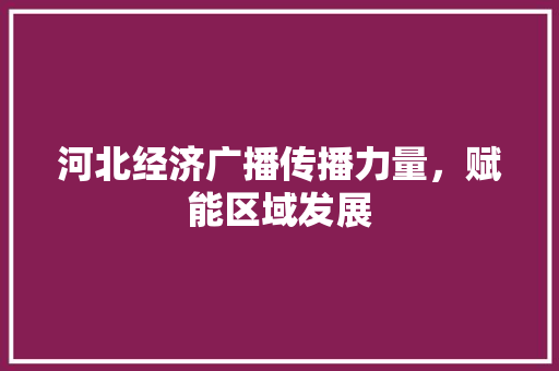 河北经济广播传播力量，赋能区域发展