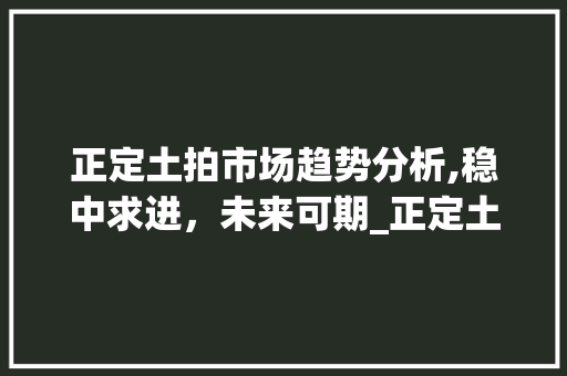 正定土拍市场趋势分析,稳中求进,未来可期_正定土拍市场趋势 正定土拍市场趋势分析,稳中求进,未来可期_正定土拍市场趋势