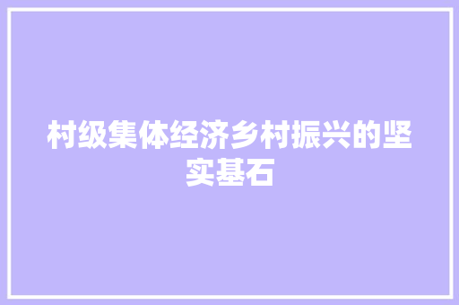 村级集体经济乡村振兴的坚实基石 村级集体经济乡村振兴的坚实基石