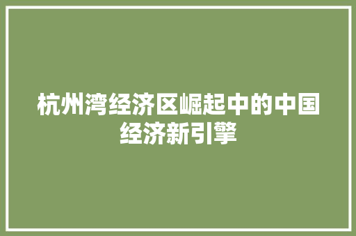 杭州湾经济区崛起中的中国经济新引擎 杭州湾经济区崛起中的中国经济新引擎
