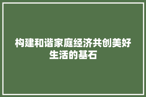 构建和谐家庭经济共创美好生活的基石 构建和谐家庭经济共创美好生活的基石