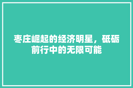 枣庄崛起的经济明星,砥砺前行中的无限可能 枣庄崛起的经济明星,砥砺前行中的无限可能