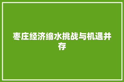 枣庄经济缩水挑战与机遇并存 枣庄经济缩水挑战与机遇并存