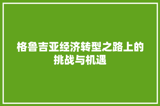 格鲁吉亚经济转型之路上的挑战与机遇 格鲁吉亚经济转型之路上的挑战与机遇