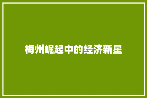 梅州崛起中的经济新星 梅州崛起中的经济新星