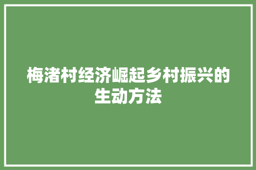 梅渚村经济崛起乡村振兴的生动方法 梅渚村经济崛起乡村振兴的生动方法