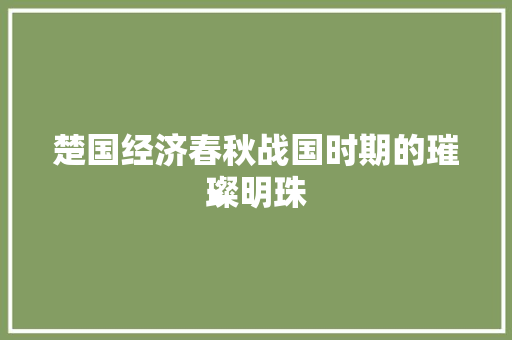楚国经济春秋战国时期的璀璨明珠 楚国经济春秋战国时期的璀璨明珠
