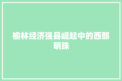 榆林经济强县崛起中的西部明珠