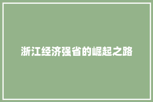 浙江经济强省的崛起之路 浙江经济强省的崛起之路