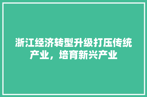 浙江经济转型升级打压传统产业,培育新兴产业 浙江经济转型升级打压传统产业,培育新兴产业