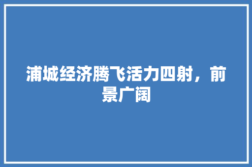 浦城经济腾飞活力四射,前景广阔 浦城经济腾飞活力四射,前景广阔