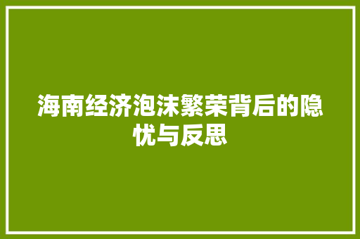 海南经济泡沫繁荣背后的隐忧与反思