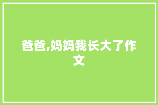 海南自贸港建设新起点,新机遇,新未来 海南自贸港建设新起点,新机遇,新未来