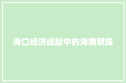 海口经济崛起中的海南明珠 海口经济崛起中的海南明珠