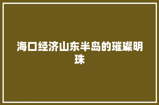 海口经济山东半岛的璀璨明珠 海口经济山东半岛的璀璨明珠
