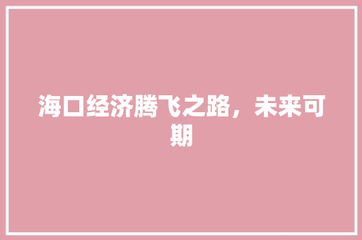 海口经济腾飞之路,未来可期 海口经济腾飞之路,未来可期