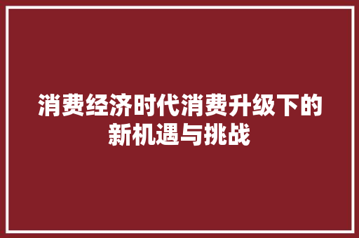消费经济时代消费升级下的新机遇与挑战 消费经济时代消费升级下的新机遇与挑战