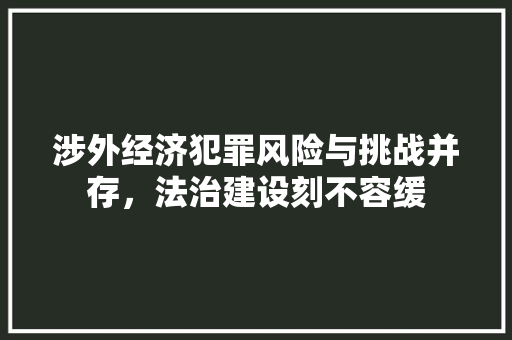 涉外经济犯罪风险与挑战并存,法治建设刻不容缓 涉外经济犯罪风险与挑战并存,法治建设刻不容缓