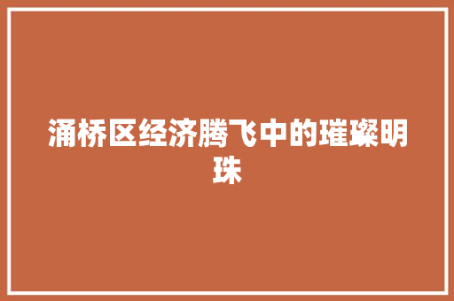 涌桥区经济腾飞中的璀璨明珠 涌桥区经济腾飞中的璀璨明珠