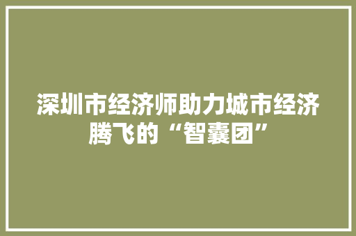 深圳市经济师助力城市经济腾飞的“智囊团” 深圳市经济师助力城市经济腾飞的“智囊团”