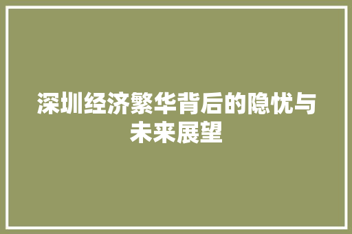 深圳经济繁华背后的隐忧与未来展望 深圳经济繁华背后的隐忧与未来展望